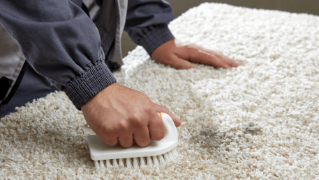Professional Rug Cleaning Swan Bay
